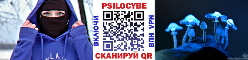 продажа наркотиков Барыш Галлюциногенные грибы Cubensis